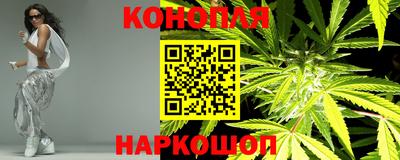 a pvp Бийск
